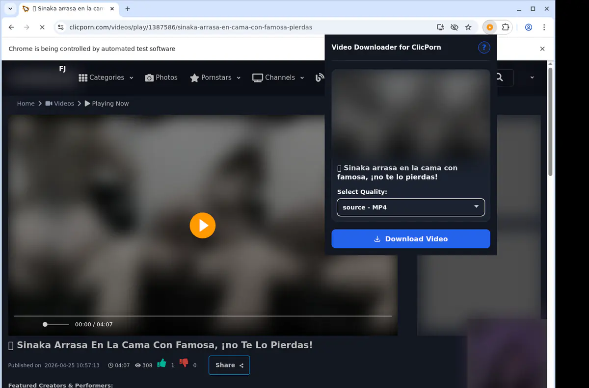 Clicporn Video Downloader screenshot 3